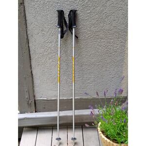 Swix All-Mountain Ski Poles | 115cm (46") | Silver & Yellow